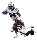 cowboys run transp 01