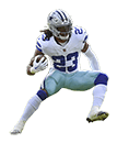 cowboys run transp 3